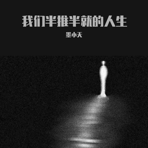 我们半推半就的人生<抖音热搜原版>
