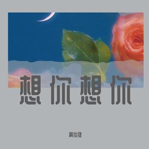 想你想你