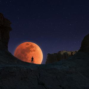 【FREE】暗夜杀手