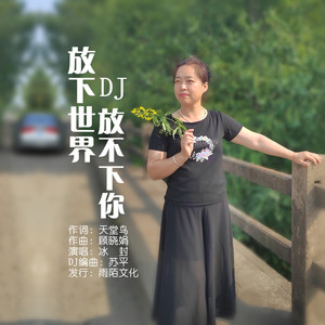 放下世界放不下你 (DJ版)