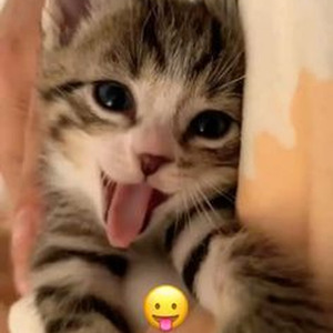 Don't Wanna Know (sped up)