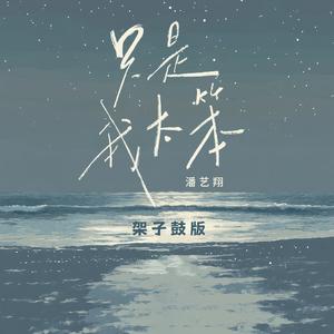 只是我太笨 (架子鼓版)