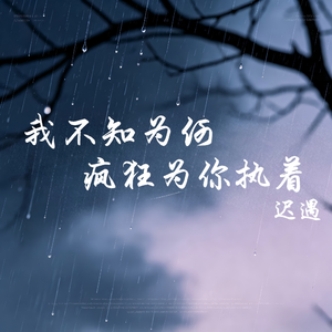 我不知为何疯狂为你执着