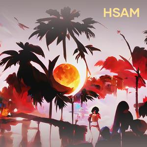 HSAM (Remix)