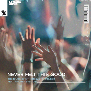 Never Felt This Good (Extended Mix)