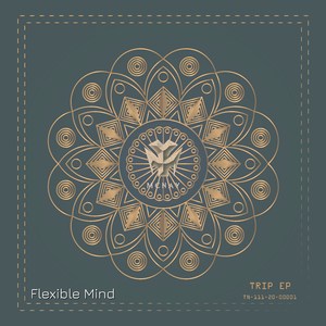 Flexible Mind