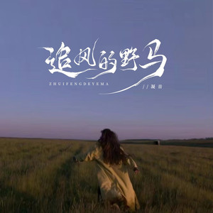 追风的野马 (DJ德朋版)
