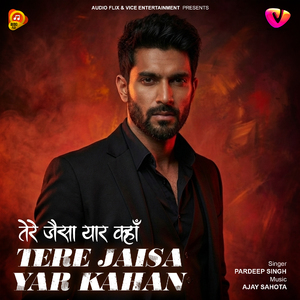 Tere Jaisa Yaar Kahan