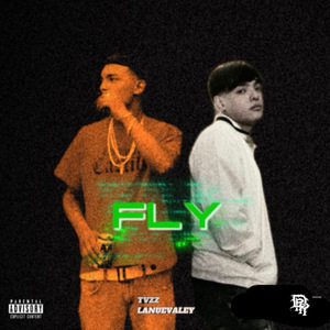 Fly