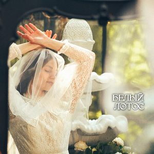 Белый Лотос