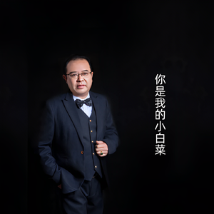 你是我的小白菜