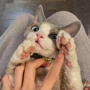 往后余生