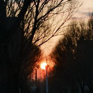 溯 (Reverse) feat. 马吟吟