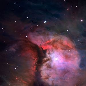 盛夏的果实 莫文蔚