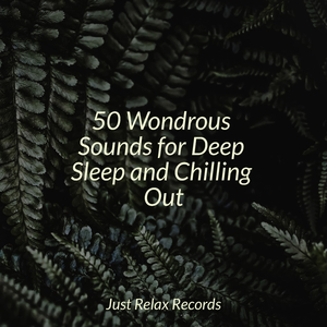 Stellar Odyssey Dusk