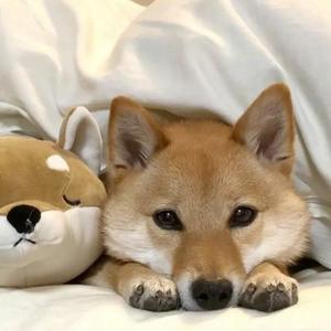 这一生关于你的风景(1)