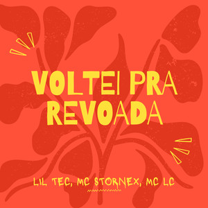 Voltei pra revoada