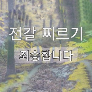 죄송합니다