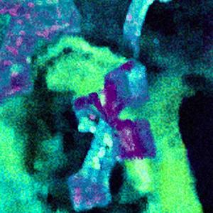 SKRZYDŁA (feat. crest, łyda & łyda)