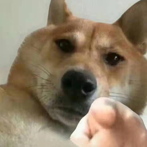 海顿D大调奏鸣曲