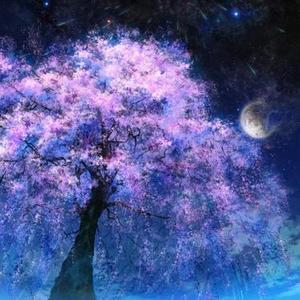 花香的清晨 - 助眠钢琴曲