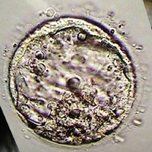 Saving All My Sperm for You