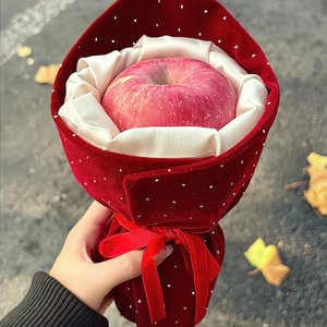 静候功成返故乡