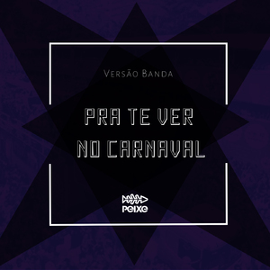 Pra Te Ver no Carnaval (Versão Banda)