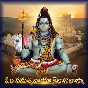 Om Nama Shivayaa Kailasavasa