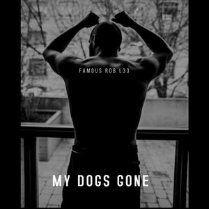 MY DOGS GONE