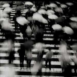 你快乐所以我快乐