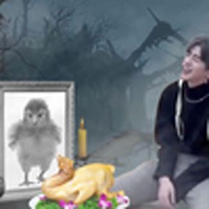 阳光开朗大男孩max0（小黑子）