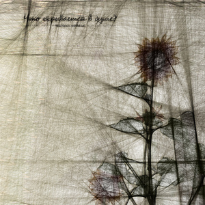 Что скрывается в душе?