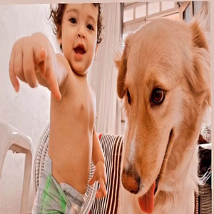 Fritando Ideias - Zamaz