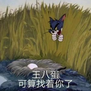 小苹果（×0.8）