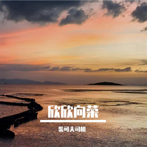 落日染就温柔橘红