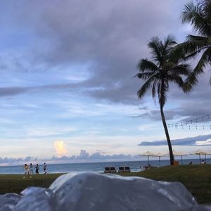 第二次遗忘的海