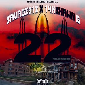 22 (feat. 14K Shawn G)