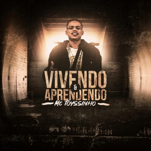 Vivendo e Aprendendo