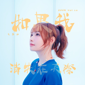 如果我消失在天際