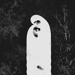 Palle, Piteux, Mort et Transy