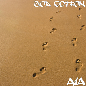 A1a