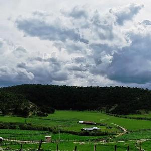 San isidro de las calabazas vive en cada cancion