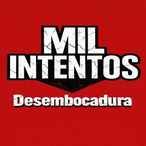 Desembocadura