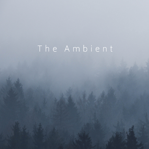 The Ambient (to Alice)