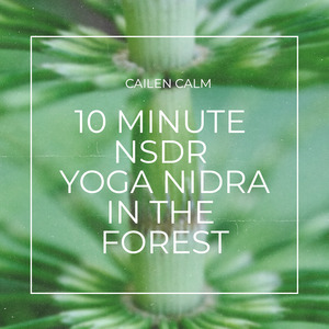 10 Minute NSDR - Yoga Nidra in the Forest