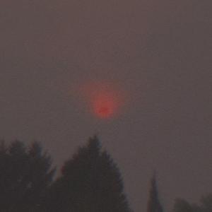 TornBetweenLoveAndDespair