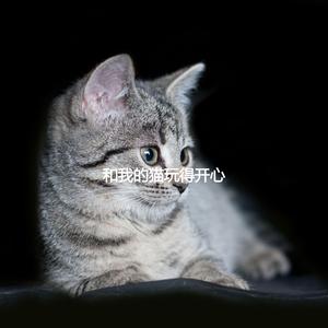 High Class Music for Memories