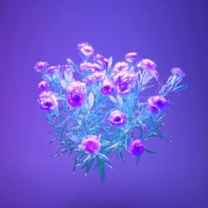 ねぇ、先輩…聞いてよ？