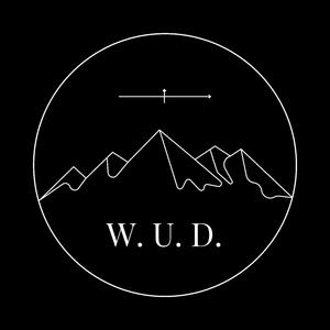 W. U. D. (feat. Mike Salow)
